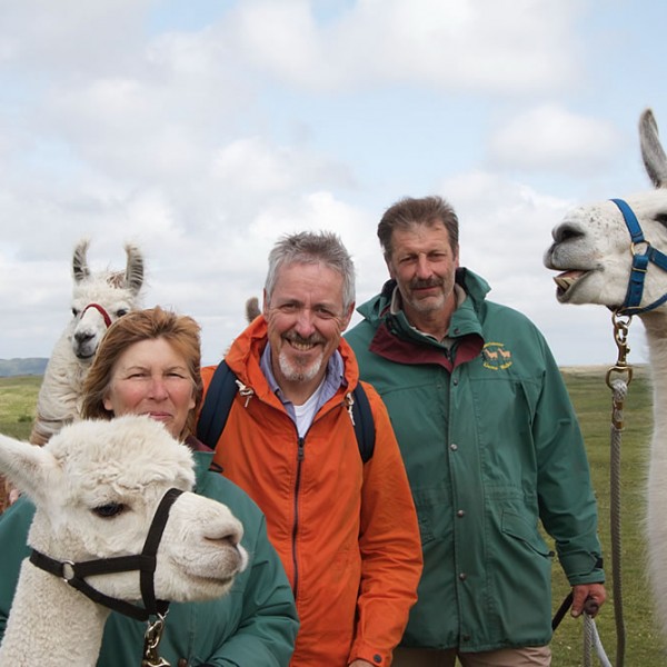 Griff Rhys Jones With Dartmoor Llama Walks