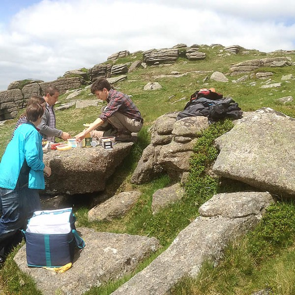 Picnic Time on Llama Walk