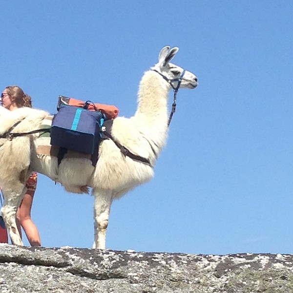 Waiting For The Others