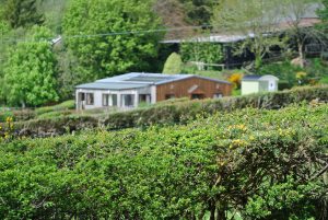 Robin & Wren Cottages
