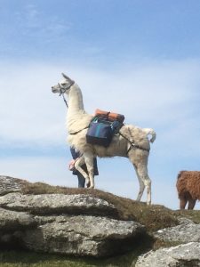 IMG_0439